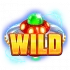 UFO Wild